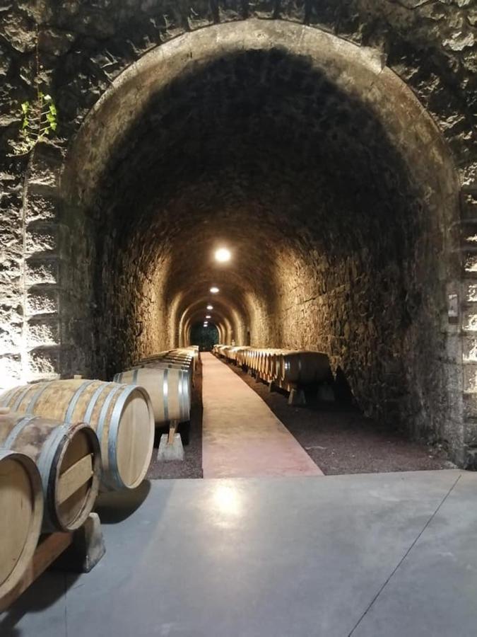 Les Barras'K Villa Saint Peray Bagian luar foto