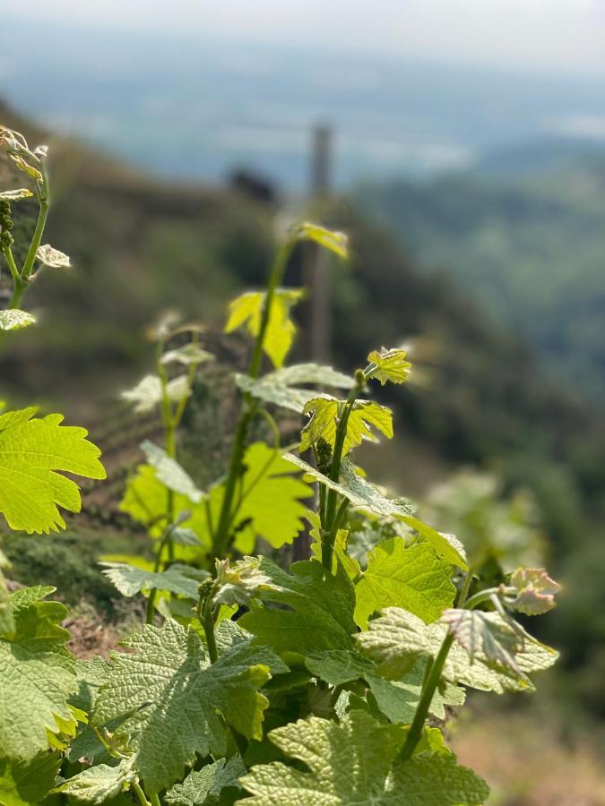 Les Barras'K Villa Saint Peray Bagian luar foto