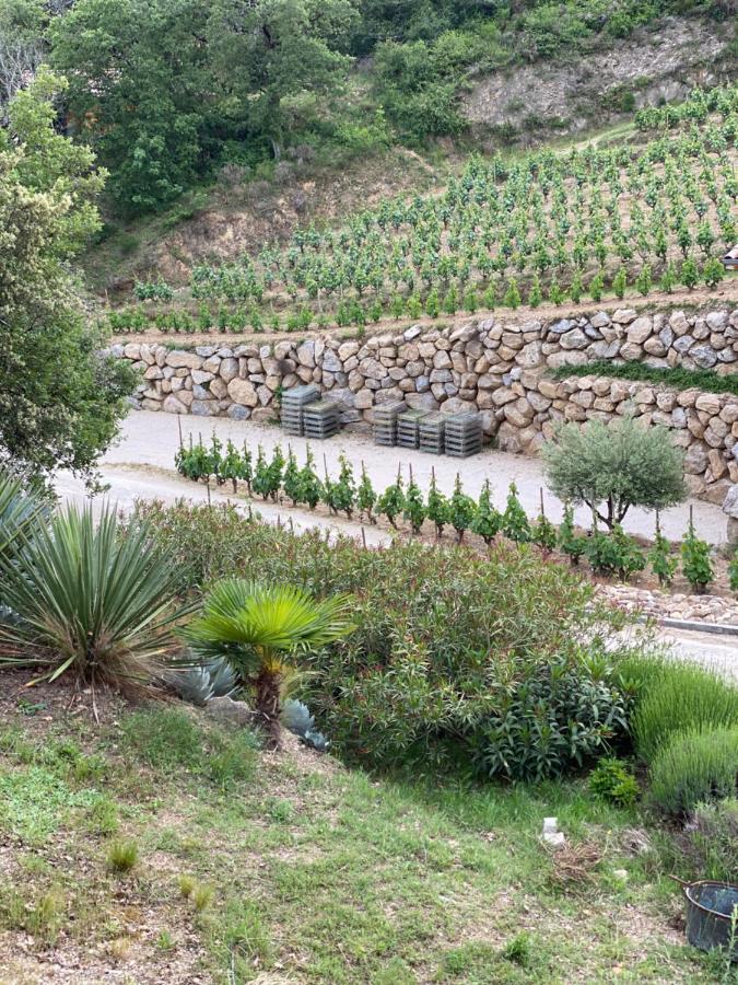 Les Barras'K Villa Saint Peray Bagian luar foto