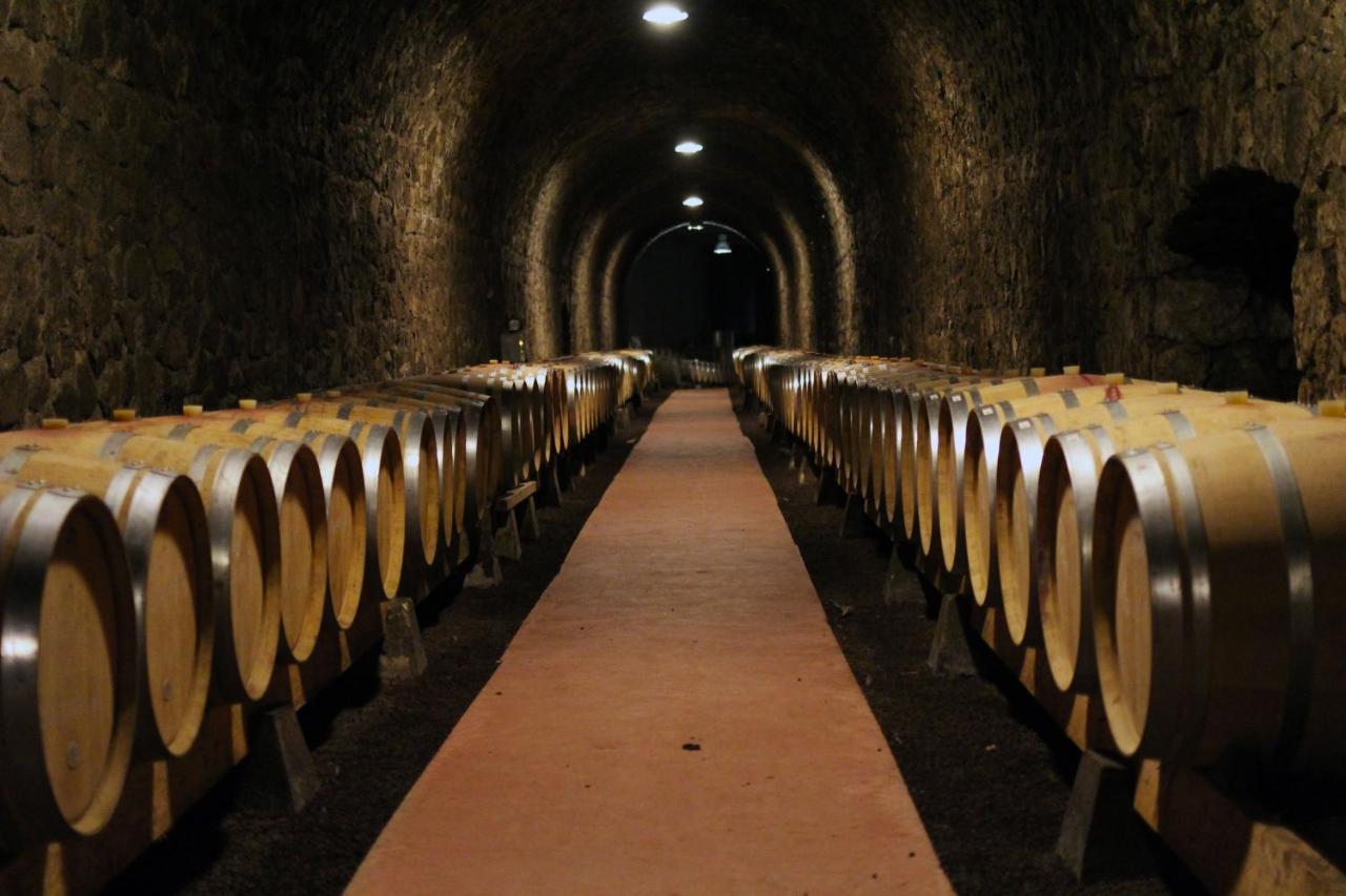 Les Barras'K Villa Saint Peray Bagian luar foto